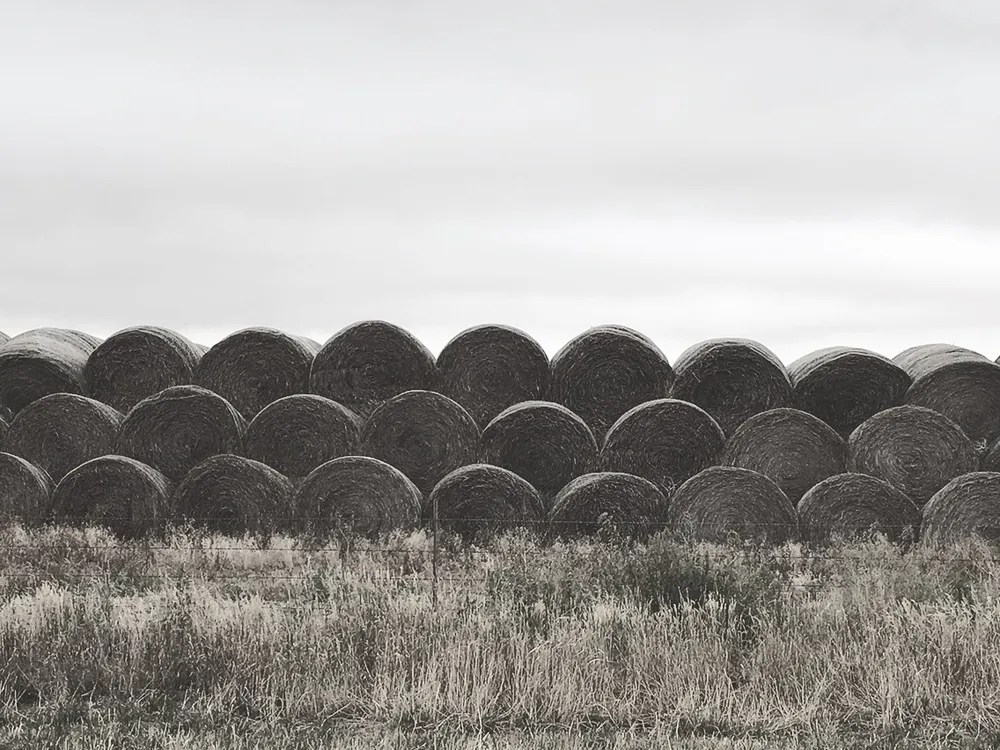 A photo Taken by Jacob Padilla. Location: United States